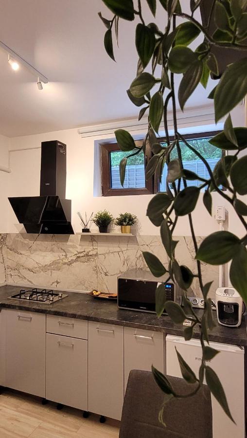 Luxury Mansion Apartment Bucureşti Ngoại thất bức ảnh